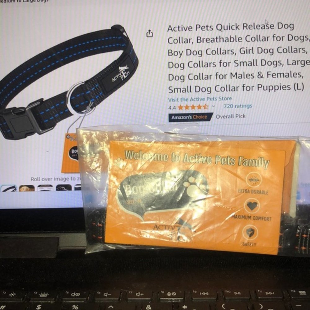 Active Pet Dog 🐕 Collar